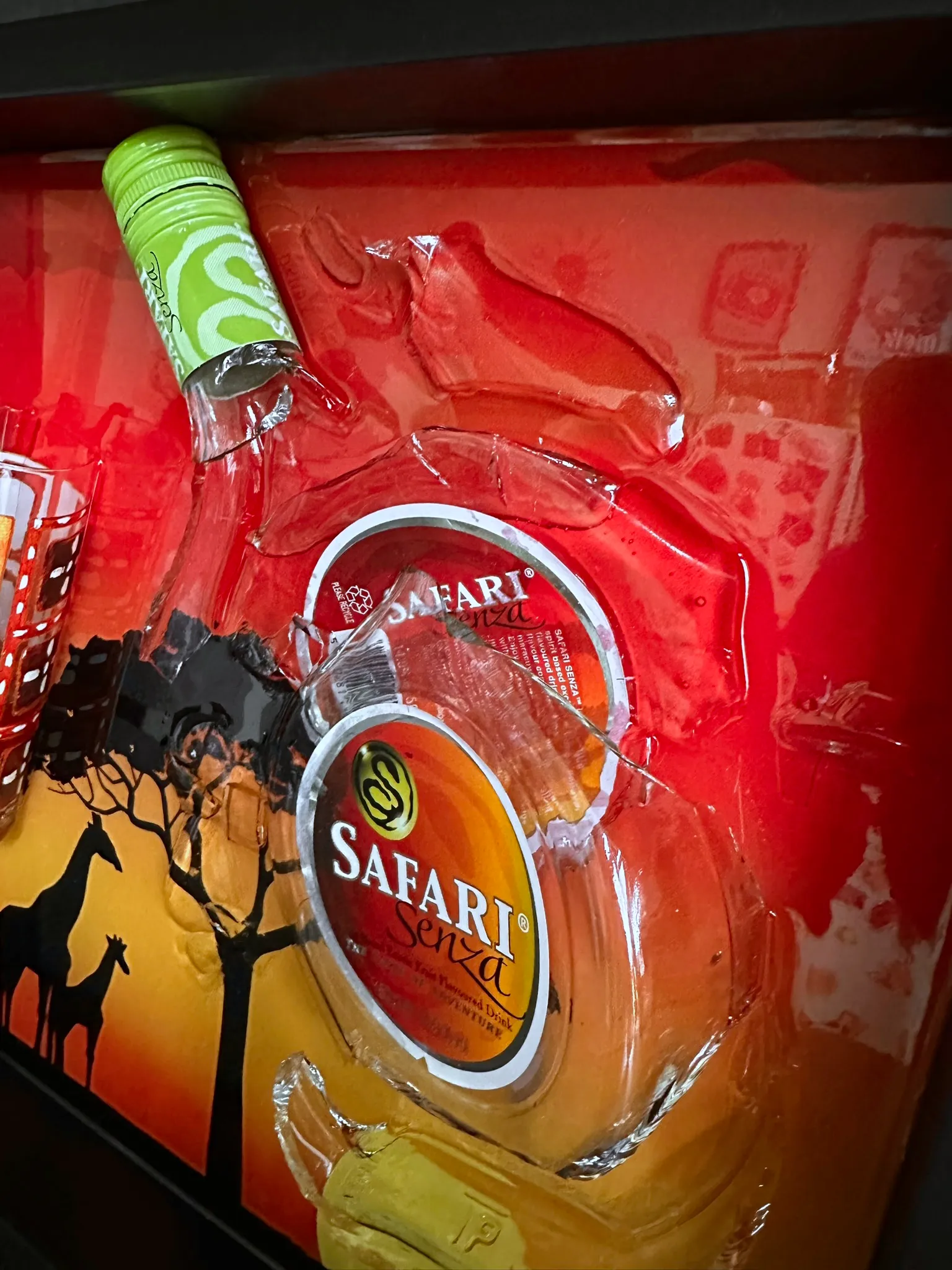 Safari – Gebroken Fles met Glas – IMG_0451.JPEG